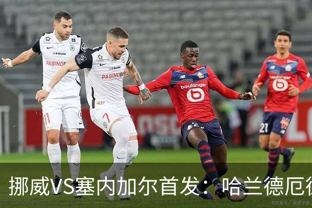 挪威VS塞内加尔首发：哈兰德厄德高领军 马内搭杰克逊